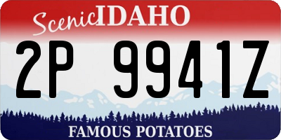 ID license plate 2P9941Z
