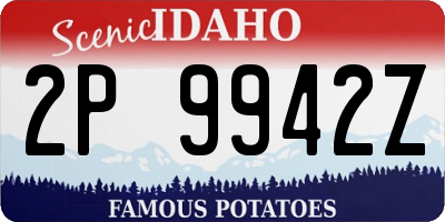 ID license plate 2P9942Z