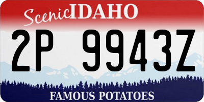 ID license plate 2P9943Z