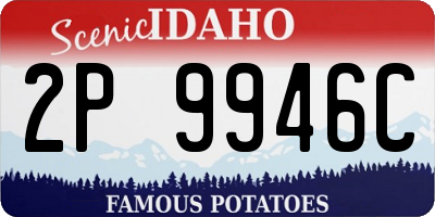 ID license plate 2P9946C