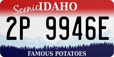 ID license plate 2P9946E