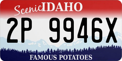 ID license plate 2P9946X