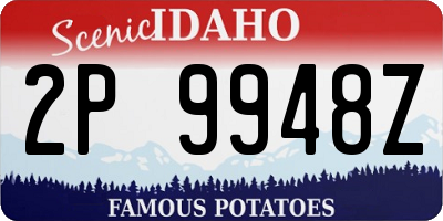 ID license plate 2P9948Z