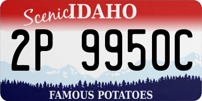 ID license plate 2P9950C