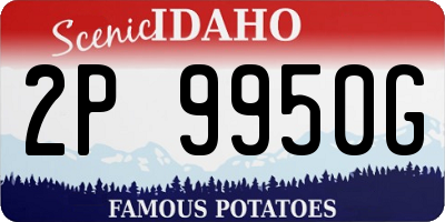 ID license plate 2P9950G
