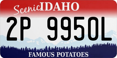 ID license plate 2P9950L