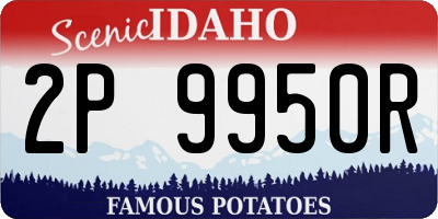 ID license plate 2P9950R