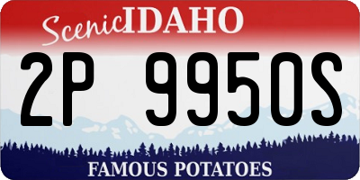 ID license plate 2P9950S