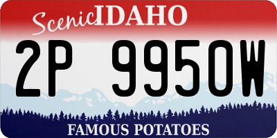 ID license plate 2P9950W