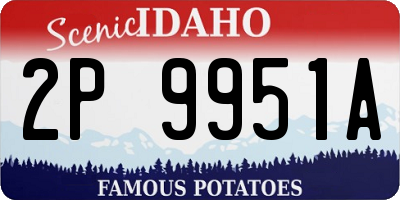 ID license plate 2P9951A