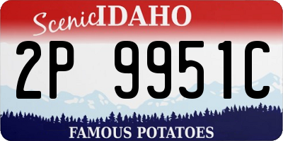 ID license plate 2P9951C