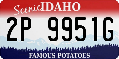 ID license plate 2P9951G