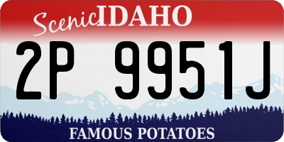 ID license plate 2P9951J