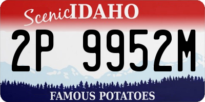 ID license plate 2P9952M