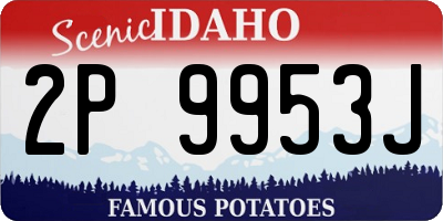 ID license plate 2P9953J