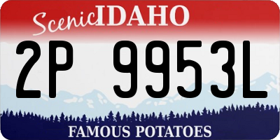 ID license plate 2P9953L