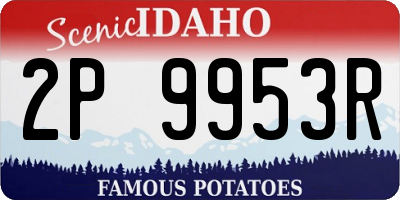 ID license plate 2P9953R