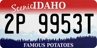 ID license plate 2P9953T