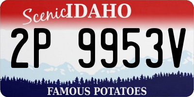 ID license plate 2P9953V