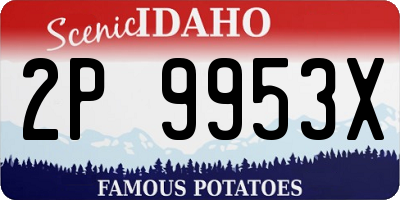 ID license plate 2P9953X