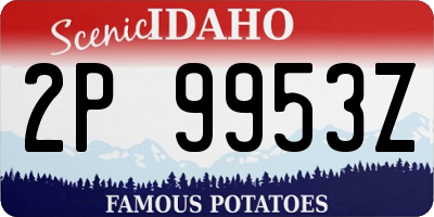 ID license plate 2P9953Z