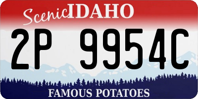 ID license plate 2P9954C
