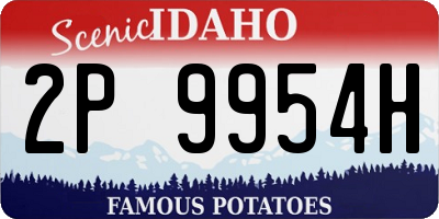 ID license plate 2P9954H