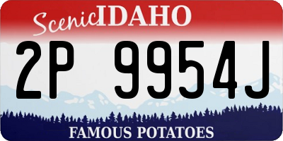 ID license plate 2P9954J