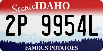 ID license plate 2P9954L