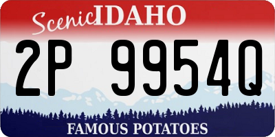 ID license plate 2P9954Q