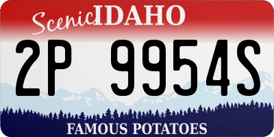 ID license plate 2P9954S