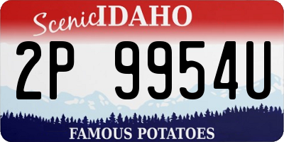 ID license plate 2P9954U