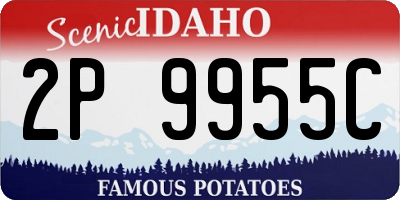 ID license plate 2P9955C