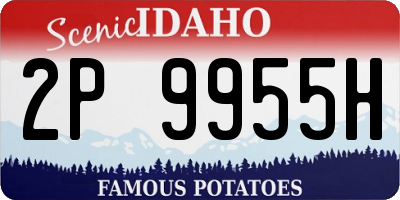 ID license plate 2P9955H