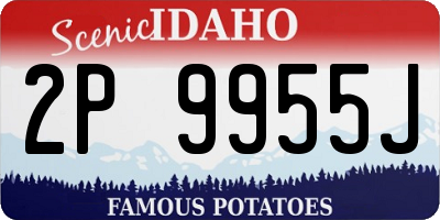 ID license plate 2P9955J