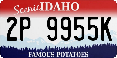 ID license plate 2P9955K