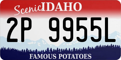 ID license plate 2P9955L