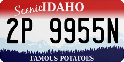 ID license plate 2P9955N