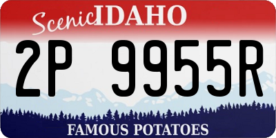 ID license plate 2P9955R