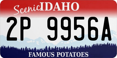 ID license plate 2P9956A