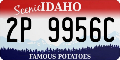 ID license plate 2P9956C