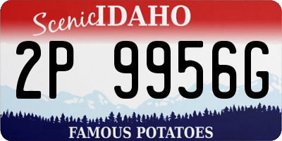 ID license plate 2P9956G