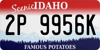 ID license plate 2P9956K