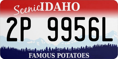 ID license plate 2P9956L