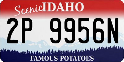 ID license plate 2P9956N