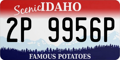 ID license plate 2P9956P