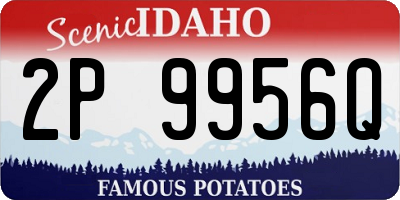 ID license plate 2P9956Q