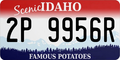 ID license plate 2P9956R