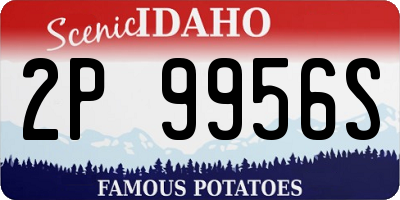 ID license plate 2P9956S