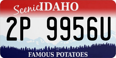 ID license plate 2P9956U